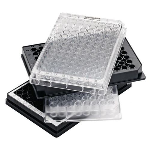 96孔微孔板 - 0030 series - Eppendorf SE - 标签 / 微孔板 / 吸收率试验