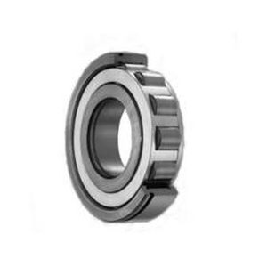 滚筒轴承 - Yuyao Bote Bearing Co., Ltd. - 针式 / 径向 / 单列