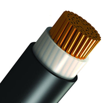 供电用电缆 - Shanghai Bluewin Wire & Cable Co., Ltd. - 绝缘 / 铜 / 工业