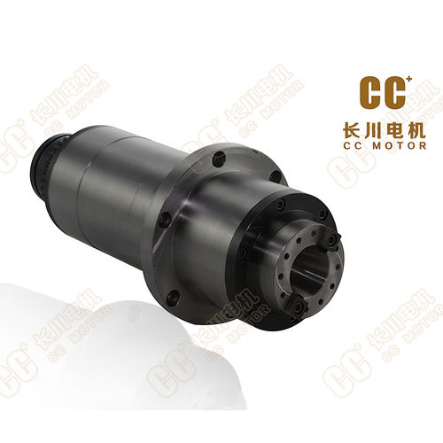 切割电动主轴 - CJ8120S - Haiyang Changchuan Motor Co., Ltd. - 平衡