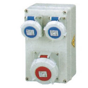 定制电箱 - 152517 - Yueqing Zhicheng Electrical Equipment Co., Ltd. - 壁挂 / IP66 / 用于配电