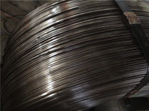 钢丝弹簧 - Nanjing Hengjie Industrial Co., Ltd. - 钢 / 用于机械零配件
