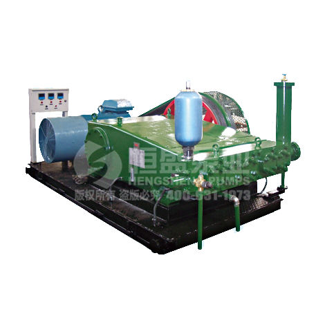离心泵 - Hebei Hengsheng Pumps Co., Ltd. - 水 / 用于聚合物 / 液压缸