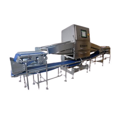 检测扫描系统 - FOTON-X 6040FP  - MSSPEKTRAL SAVUNMA SANAYİİ A.Ş. - X射线 / 食品工业