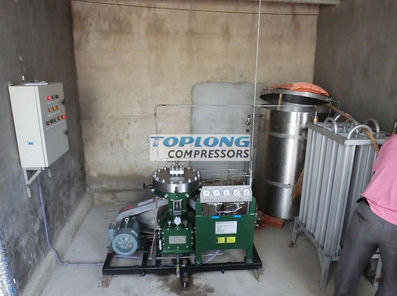隔膜压缩机 - GL1-10/4-160 - Wenling Toplong Electrical & Mechanical Company - 氮 / 电动式 / 固定式