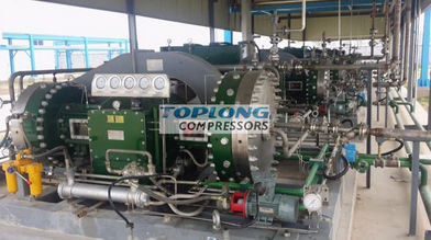 隔膜压缩机 - GD5-2100/7-230 - Wenling Toplong Electrical & Mechanical Company - 气体 / 电动式 / 固定式