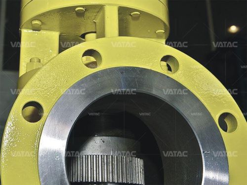 法兰安全阀 - Vatac Valves (Wenzhou) Corporation - 差动