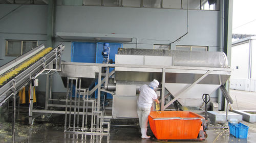 玉米清洗机 - YXJ - SHAOXING WALLEY FOOD MACHINERY CO., LTD. - 青豌豆