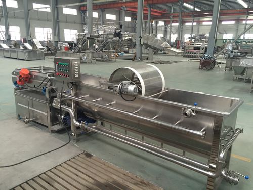 菌类清洗机 - WXJ - SHAOXING WALLEY FOOD MACHINERY CO., LTD. - 草莓