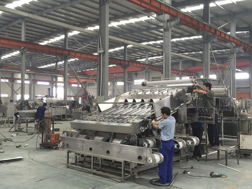 虾分级机 - XSJ-12/18 - SHAOXING WALLEY FOOD MACHINERY CO., LTD.