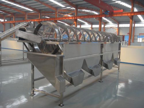 菌类分级机 - OSJ-5 - SHAOXING WALLEY FOOD MACHINERY CO., LTD. - 荔枝 / 龙眼 / 芋头