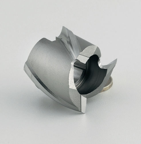 套式立铣刀 / 实心 / hss/hsco / 双槽