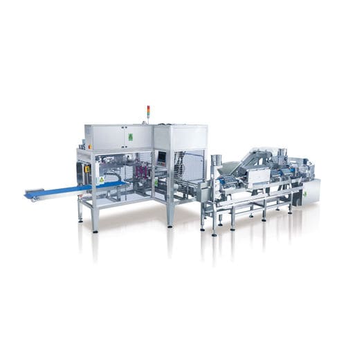 自动包装机 - AKZD500 - Foshan Aokai machinery Technology Co.,Ltd - 卧式 / 袋子 / 肉类
