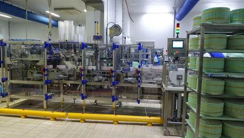 软质奶酪定量机 - PZ18ISV - CAD PROJECT S.R.L. - 刀片式 / 自动