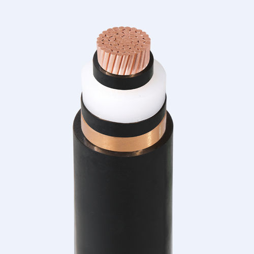 供电用电缆 - CXV/S – AXV/S  - Thinh Phat Cables Joint Stock Company - 绝缘 / 多股 / 环形
