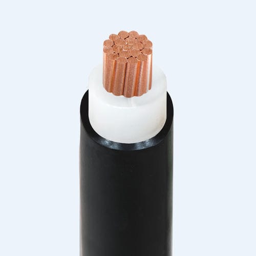 供电用电缆 - CXV - Thinh Phat Cables Joint Stock Company - 绝缘 / 多股 / 铜