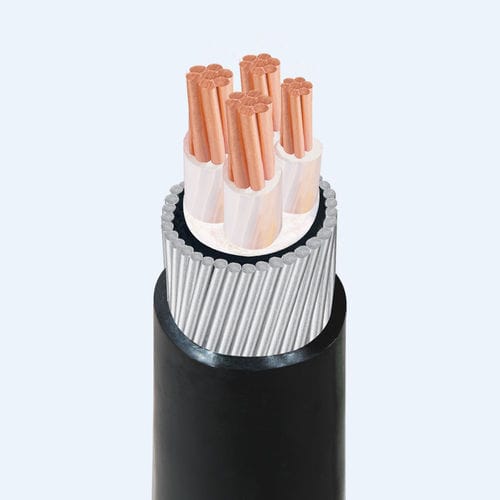 低电压应用电缆 - CXV/SWA - Thinh Phat Cables Joint Stock Company - 供电 / 绝缘 / 铠装