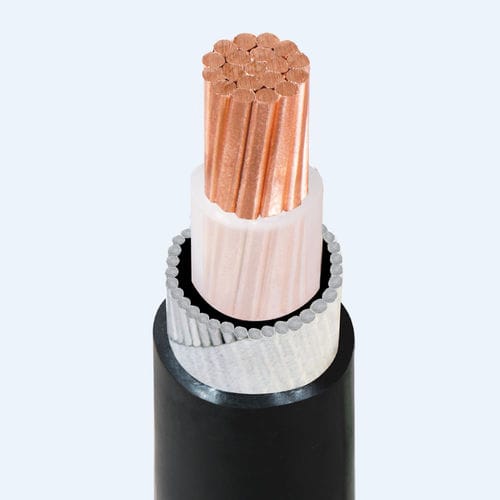 低电压应用电缆 - CXV/AWA - Thinh Phat Cables Joint Stock Company - 供电 / 绝缘 / 铠装