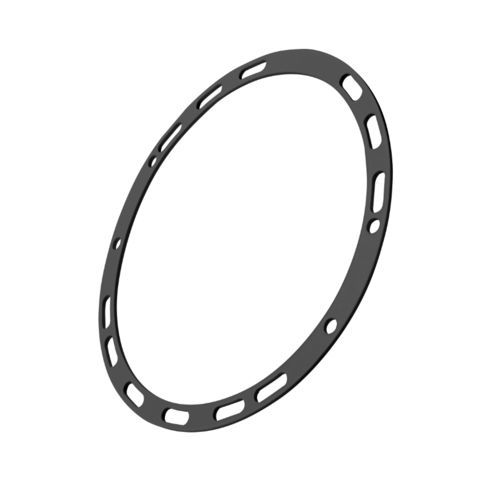 扁平密封件 - CPS6081 - Zhejiang CPS Cathay Packing  Sealing CO., LTD - PTFE / 圆形 / 化学应用
