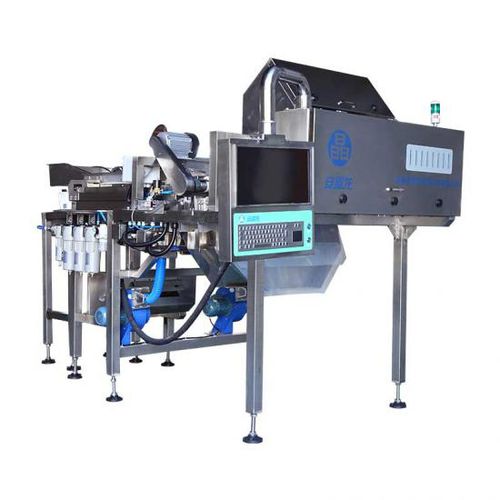 食品工业分拣机 - Hefei Angelon Electronics Co.,Ltd - 光学 / 颜色 / 自动
