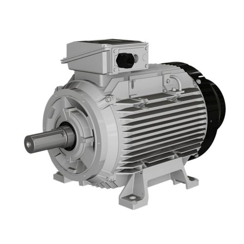 异步电机 - W series - Wolong Electric Group - 铸铁框架 / IP55 / IP65
