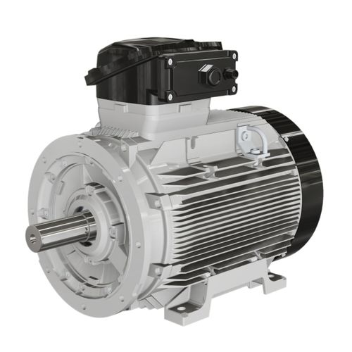 防火电机 - W-EF series - Wolong Electric Group - 异步 / 铸铁框架 / IP55