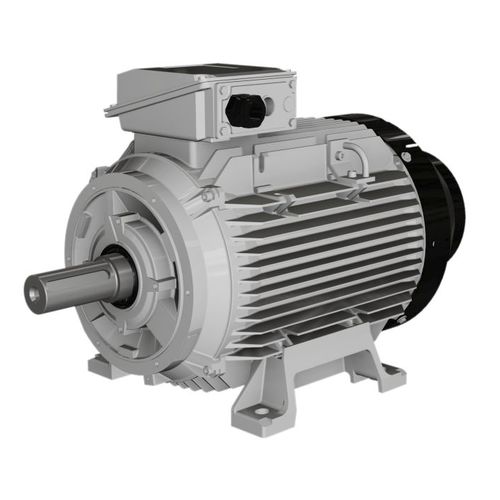 异步电机 - W, WP series - Wolong Electric Group - 3相 / 铸铁框架 / IP55