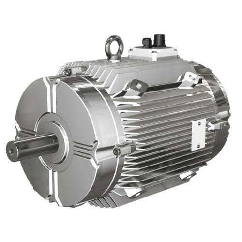 逆变器负载电机 - W FUMEX® series  - Wolong Electric Group - 异步 / 三相 / 铸铁框架