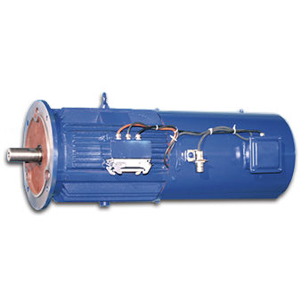 异步电机 - Jiang Su Weiteli Motor Co.,Ltd - IP56 / 风力发电机组定向 / 高效率