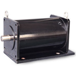 感应电机 - WTGSDJ series - Jiang Su Weiteli Motor Co.,Ltd - 水冷 / 用于电动车 / RS-485