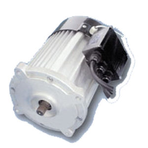低速电机 - WTGSDJ1 - Jiang Su Weiteli Motor Co.,Ltd - 同步 / 永磁 / 用于电动车