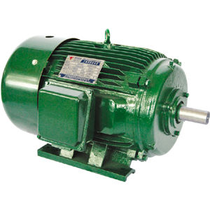 NEMA电机 - Jiang Su Weiteli Motor Co.,Ltd - 异步 / 逆变器负载