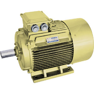 高效率电机 - YE series - Jiang Su Weiteli Motor Co.,Ltd - 同步 / 380V / IP54