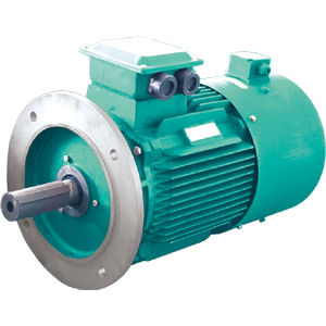 逆变器负载电机 - YVF2 series - Jiang Su Weiteli Motor Co.,Ltd - 感应 / 三相 / IP54