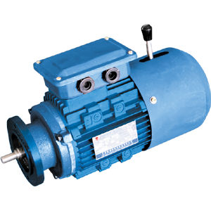 异步制动电动机 - YEJ series - Jiang Su Weiteli Motor Co.,Ltd - 三相 / 内置电磁制动 / TEFC