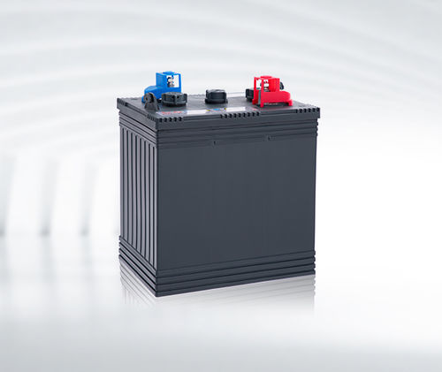 高尔夫小车电池 - D series - CAMEL GROUP CO., LTD - 铅酸 / 矩形 / 12V