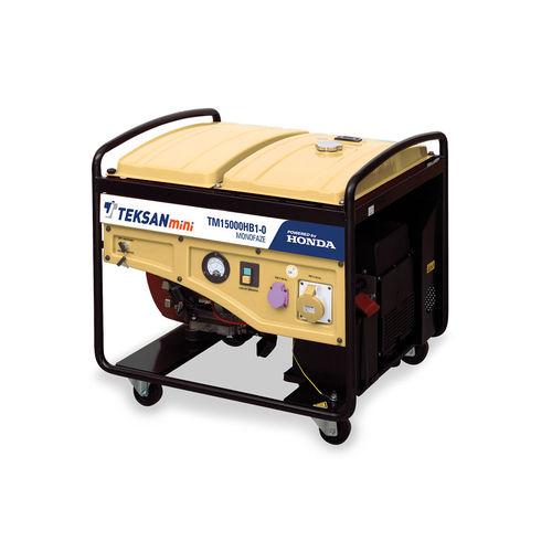 汽油机发电机组 - TM15000HB1-O - Teksan - 单相 / 便携式 / 带轮