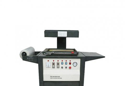 自动包装机 - DZT-540 - Qingdao Ausense Packing Equipment Co., Ltd. - 真空