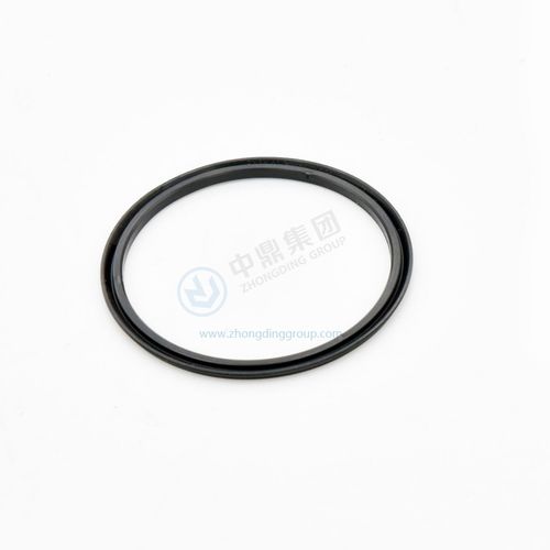 环形密封 - ANHUI ZHONGDING SEALING PARTS CO.,LTD - 活塞 / 用于传动装置 / 油
