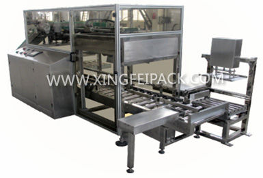 卧式装箱机 - XFC-ZX - Shanghai Xingfei Packaging Machinery Co., Ltd. - 自动 / 玻璃瓶 / 袋子