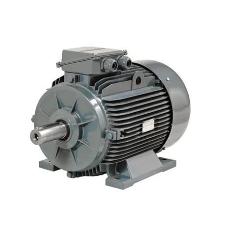 异步电机 - AGM2EL 180 L 6a - Gamak Makine Sanayi A.Ş. - 三相 / 400V / 690 V