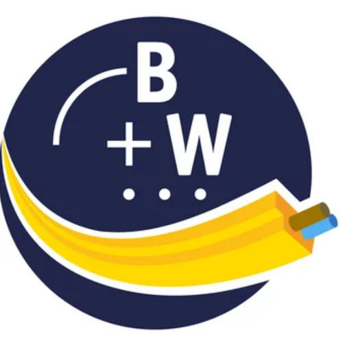 测量软件 - BW2916 - Bihl+Wiedemann GmbH - 控制 / 配置 / 创建制作用