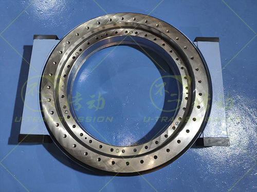 回转环回转驱动装置 - WE-III-O-32 - Unique Transmission Equipment(Luoyang)Co., LTD - 蜗杆 / 双
