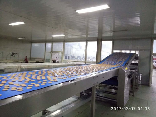 带式输送机 - LQ1000 - Guangdong Shunde Huaji Machinery Industrial Co., Ltd. - 直线型 / Z型 / 冷却