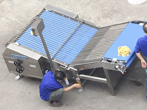 饼干分选设备 - LB1000 - Guangdong Shunde Huaji Machinery Industrial Co., Ltd. - 食品工业 / 自动 / 带式