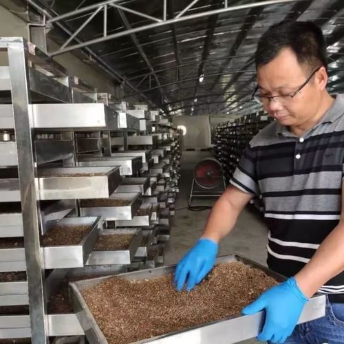 家用废弃物处理站 - Wenzhou Jinbang Light Ind Machinery Co., Ltd - 用于食品 / 城市固态废物 / 工业