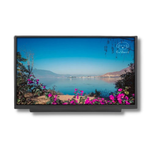 TFT LCD显示模块 - TTX116BHT-01 - TAILOR PIXELS TECHNOLOGY CO., LTD. - IPS / 1920 x 1080 / 11.6"
