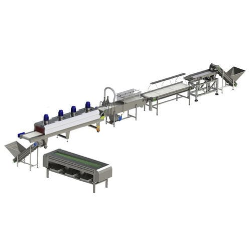 椰枣加工生产线 - Zibo Unique Machinery Co., Ltd. - 清洗 / 校准