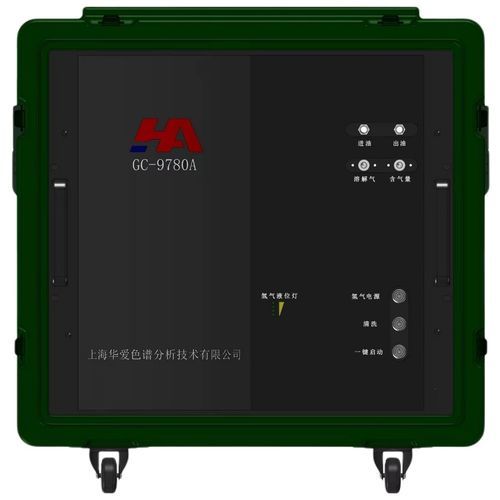 便携式色谱分析仪 - GC-9780A - Shanghai Huaai Chromatography Analysis Technology Co., Ltd. - 气相 / 实验室 / FID