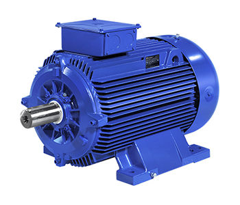 异步电机 - A5M - B5M series - Marelli Motori S.p.A. - 交流 / 100V / 铸铁